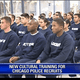 The Chicago Police Department added the DuSable Museum of African American History to the curriculum for new recruits (WFLD-TV Chicago)